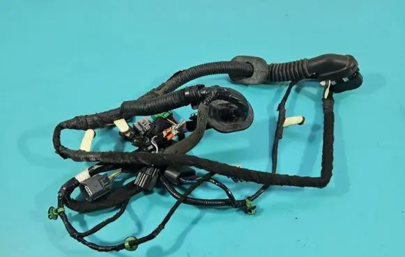 Front door wiring loom