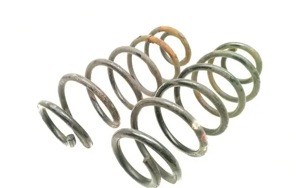 Rear coil spring