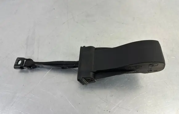 Volkswagen Touareg III Front door check strap stopper 760837267