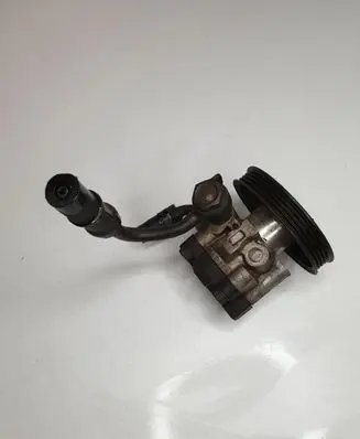 Hyundai Terracan Power steering pump