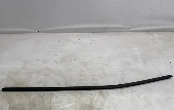 BMW X2 F39 Rear door glass trim molding 7420842