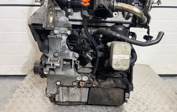 Volkswagen PASSAT B7 Engine CAY