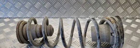Citroen Berlingo Rear coil spring