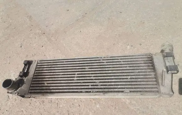 Renault Megane II Intercooler radiator 8200115540 E2443 0060394