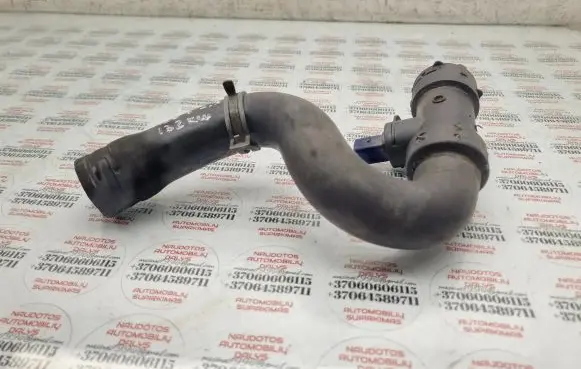 Volkswagen PASSAT B5.5 Engine coolant pipe/hose 8D0121049A