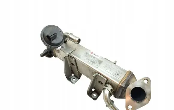 Renault Megane I EGR thermostat 8200719993
