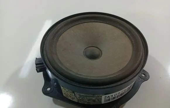 Front door speaker