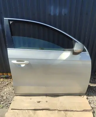 Volkswagen PASSAT B7 Front door 