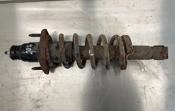 Honda FR-V Rear shock absorber with coil spring 