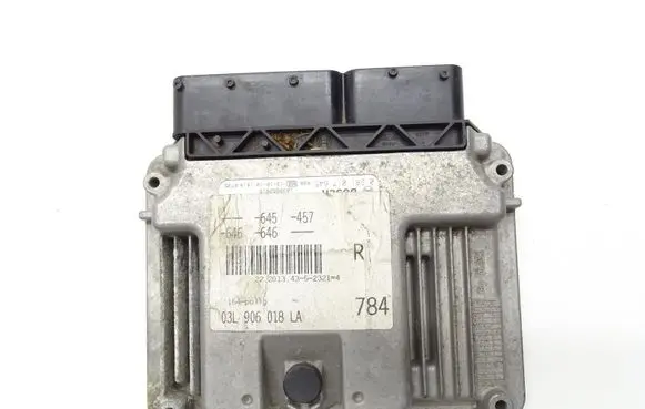 Engine control unit/module ECU
