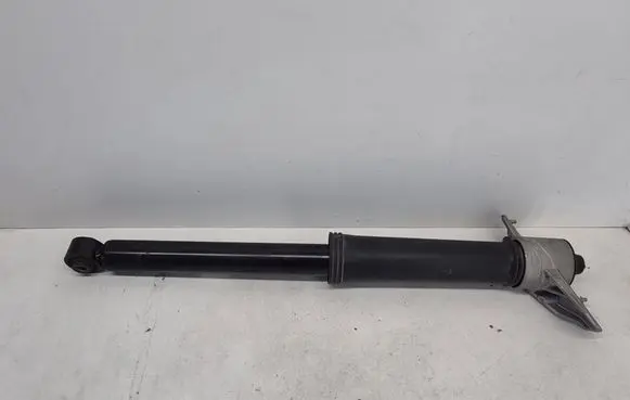Volvo XC40 Rear shock absorber/damper 32221649