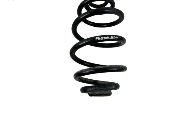 Volkswagen PASSAT B5.5 Rear coil spring