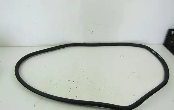 Renault Laguna III Front door rubber seal 