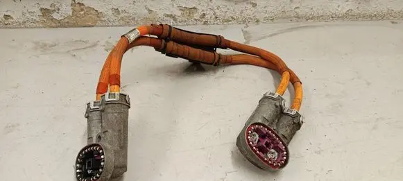 Other wiring loom
