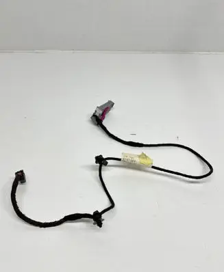 Volkswagen PASSAT B6 Front door wiring loom 3C1971558N TAB016427AK