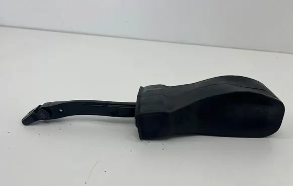 Volkswagen Arteon Rear door check strap stopper 3G8839267