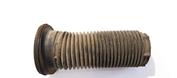 Coil spring mount