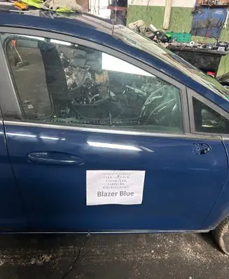 Ford Fiesta Front door