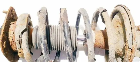 Front coil spring