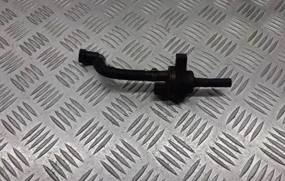 Citroen C2 Vacuum valve 2580008B