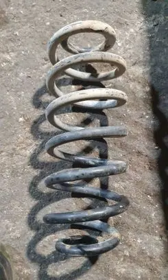 Rear coil spring