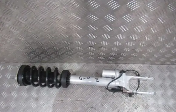 Mercedes-Benz G W463 2nd Gen Front shock absorber/damper 