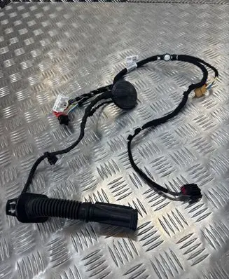 Front door wiring loom