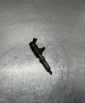 Peugeot Partner Fuel injector 0445110566