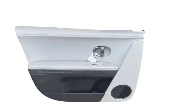 Hyundai Ioniq 5 Front door card panel trim 