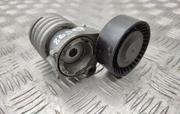 Skoda Fabia Mk2 (5J) Generator/alternator belt tensioner