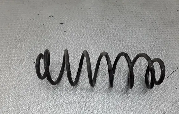 Volkswagen Jetta IV Rear coil spring