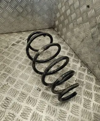Rear coil spring