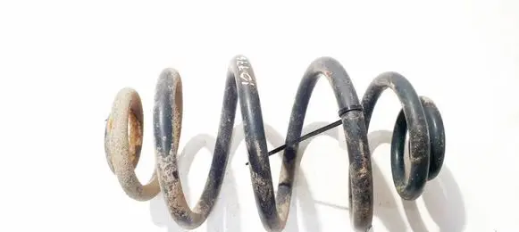 Volkswagen PASSAT B5.5 Rear coil spring