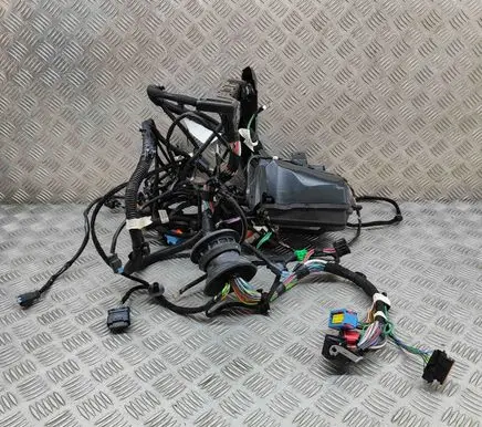 Citroen C3 Engine installation wiring loom 966T066580 9671924480