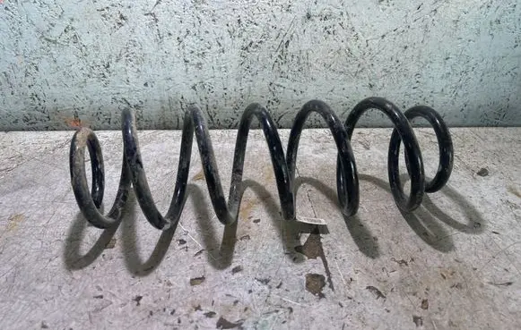 Rear coil spring