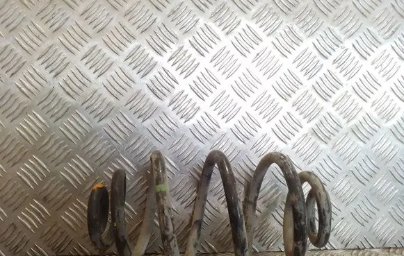 Rear coil spring