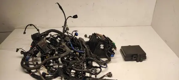 Hyundai Tucson LM Other wiring loom