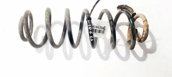 Rear coil spring
