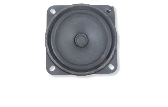 DAF 400-Series 428-435 Panel speaker 2125194