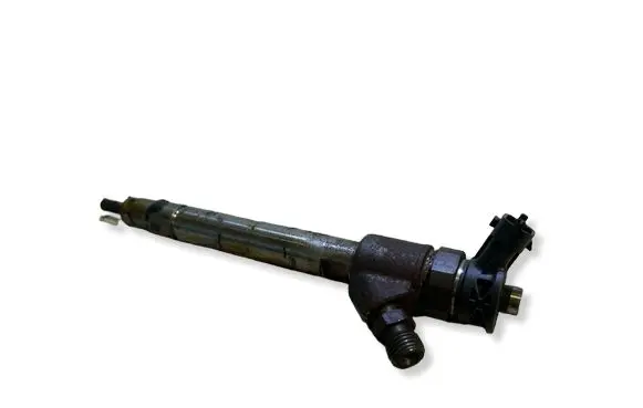 Citroen C3 Aircross Fuel injector 0445110955