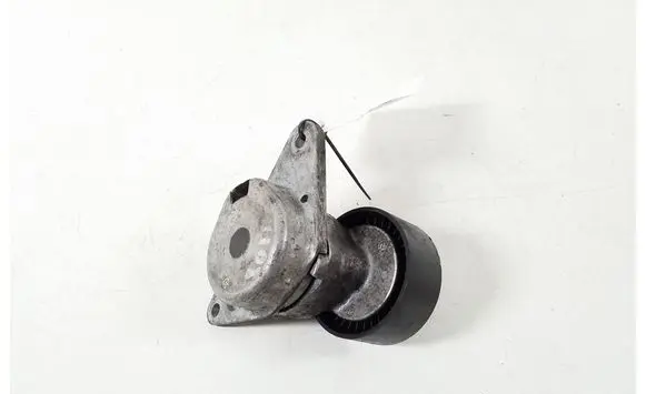 Mercedes-Benz S W220 Timing belt/chain tensioner A1372000270