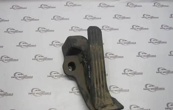 Volkswagen Tiguan Accelerator throttle pedal 65102100