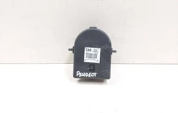 Peugeot 508 RXH Alarm system siren 9666808580 1088572105