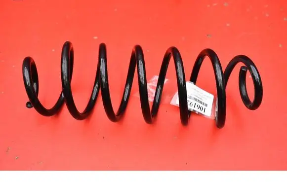 Ford Focus Rear coil spring 