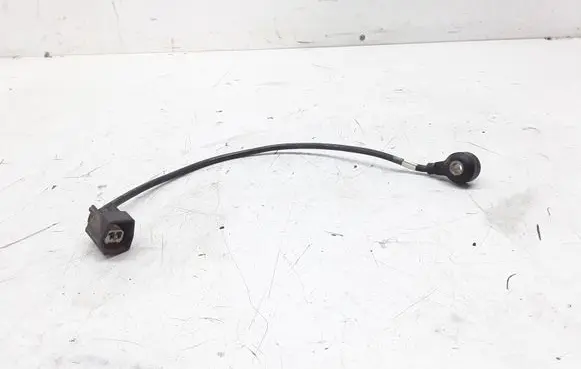 Ford Focus Detonation knock sensor 98MF12A699BA