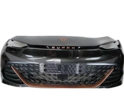 Cupra Born Front bumper 10E807221D