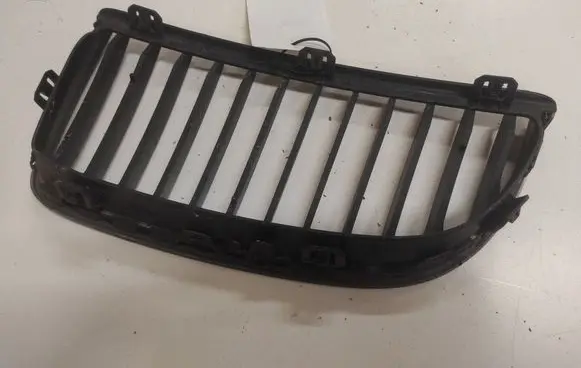 BMW 3 E90 E91 Front bumper upper radiator grill 224059