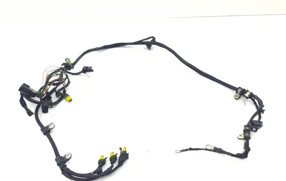 Maserati Quattroporte Gearbox/transmission wiring loom 