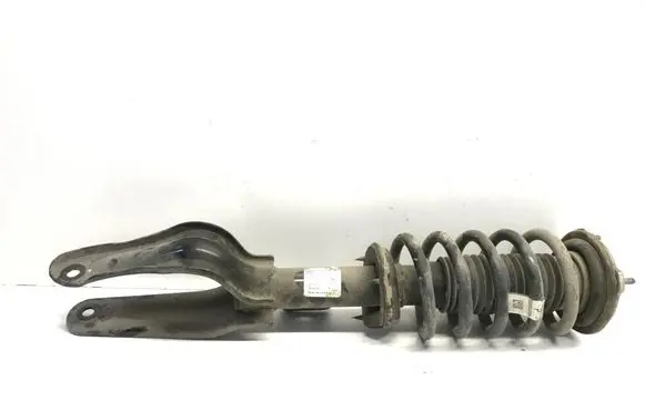 Tesla Model 3 Front shock absorber with coil spring 104436804B
