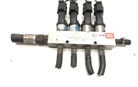 Audi A2 LP gas injector 09SQ9